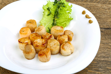 Scallops
