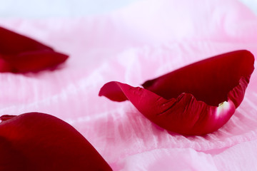 Red rose petal on fabric