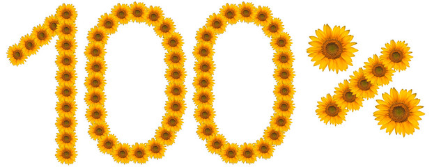 figure of 100% of the written text colors sunflowers