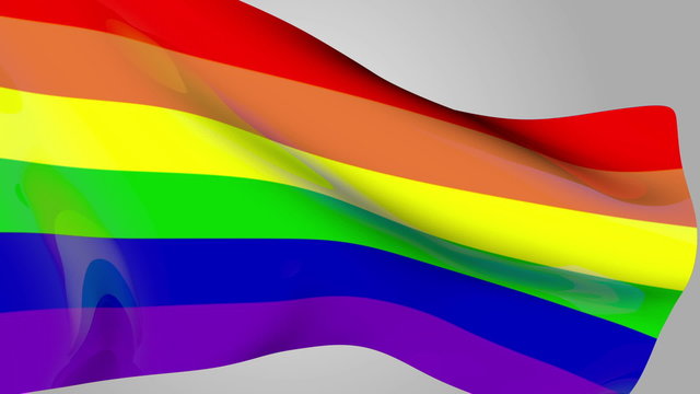 The rainbow flag or gay pride flag, is a symbol of lesbian, gay, bisexual, and trans-gender pride. It originated in California, but is now used worldwide. 