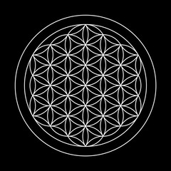 flower of life