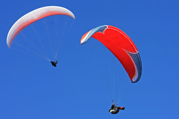 Paragliders