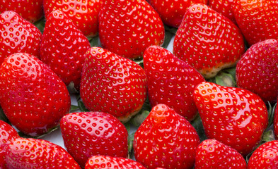 Box of strawberries, harvest collection.