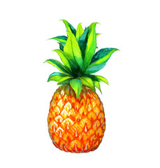 Watercolor illustration bright pineapple