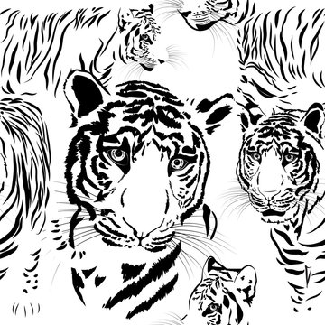 seamless pattern background tiger skins