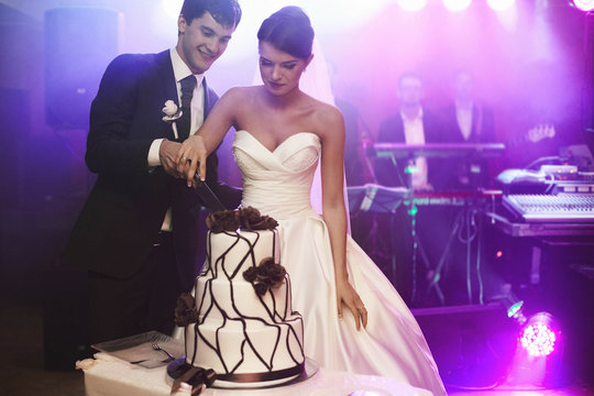 elegant pretty young bride and groom cut the wedding cake