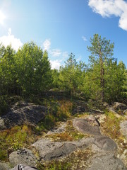 Fototapeta na wymiar Rocks in the Forest