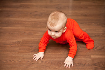 Naklejka premium baby crawling on the wooden floor