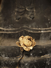 Lotus in hand image of buddha