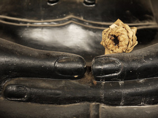 Lotus in hand image of buddha