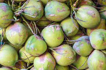 coconuts in the market