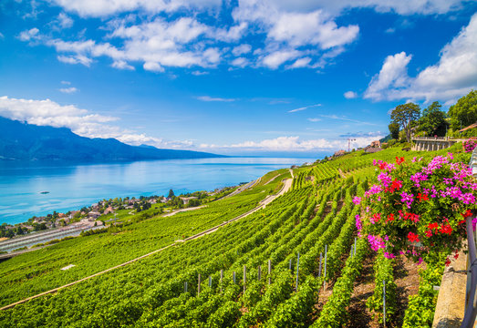 Lavaux wine region at Lake Geneva, Canton of Vaud, Switzerland