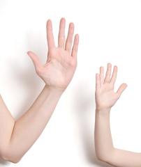 childs's and adult's hand