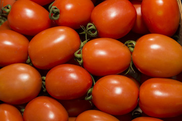 red, shiny delicious tomatoes