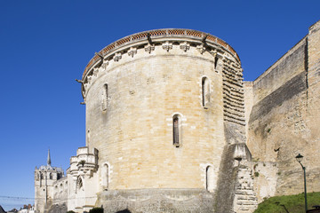 Fototapeta na wymiar Château à Amboise