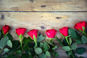 Grußkarte - rote Rosen - Valentinstag