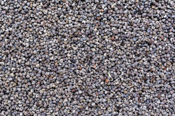 Poppy seeds texture