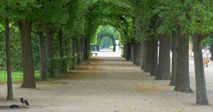 Castle gardens alley around the Schonbrunn Palace in Vienna, Austria.