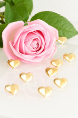 Fototapeta na wymiar Pink rose and gold hearts - series of pink flowers