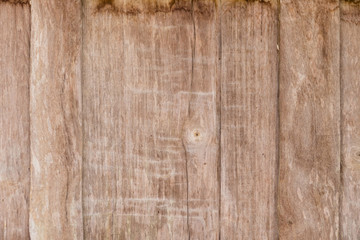 Obraz premium wood texture with natural pattern