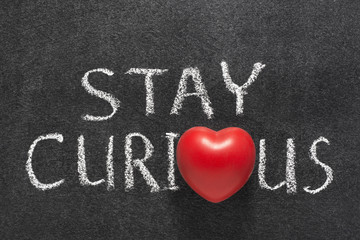 stay curious heart