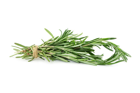 Bunch of rosemary isolated on white