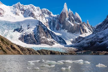 Foto op Plexiglas Cerro Torre Laguna Torre in Patagonië