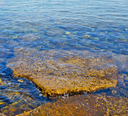 brown  stone in the coastline sunrise and light ocean white sky