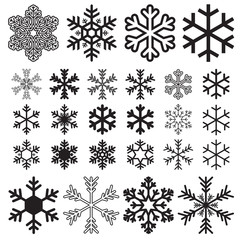 Snowflakes big set