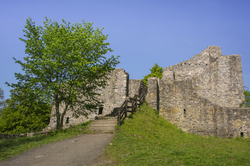 Fototapeta na wymiar Ruins of the Lowenburg castle near Bonn, Germany