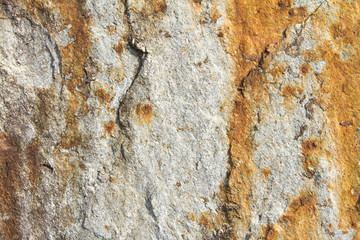 Detail of stone texture background.