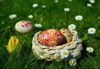 Basket with Easter eggs, flowers in the grass 