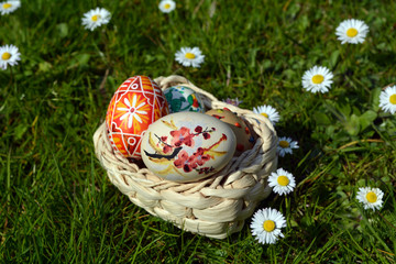 Basket with Easter eggs, flowers in the grass 