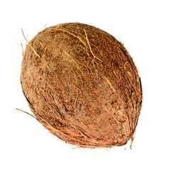 Coconut Isolated on a White Background
