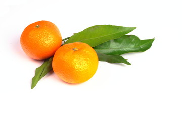 delicious fresh mandarins