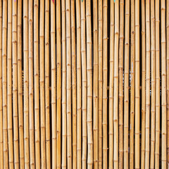 bamboo texture with natural patterns