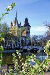 Fototapeta na wymiar Vajdahunyad castle during spring time in Budapest, Hungary