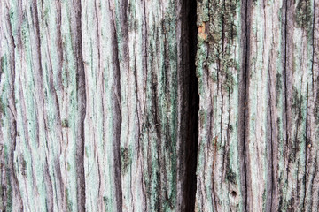 texture old wood background