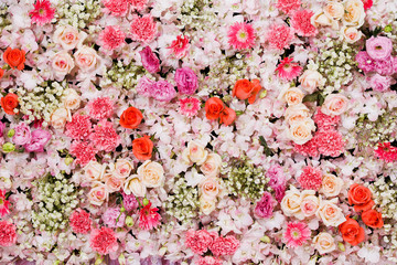 Beautiful flowers background