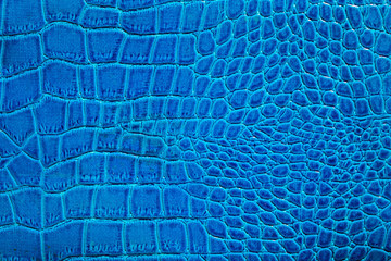 Blue crocodile leather - obrazy, fototapety, plakaty