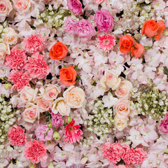 Beautiful flowers background