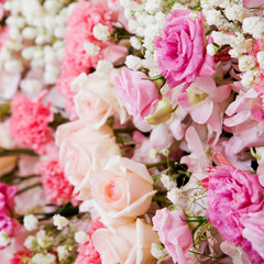 Beautiful flowers background