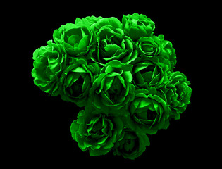 Surreal dark chrome bush of green rose flowers macro isolated on black