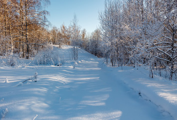 Fototapeta na wymiar Photo of the winter forest. Trees covered with snow. Winter landscape, blue sky, bright sunny day. Russia.
