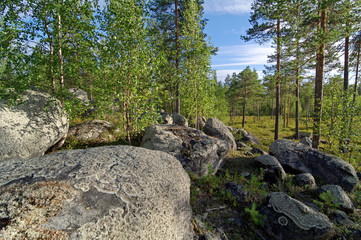 Big boulders in the northern forest.