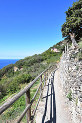 Fototapeta na wymiar Hiking trails in Cinque Terre, Italy