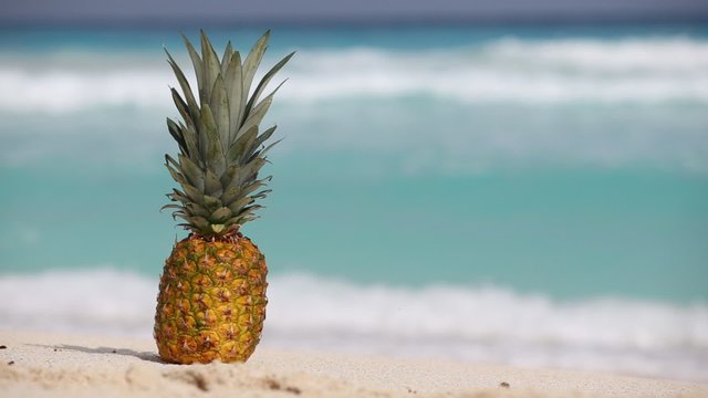 Pineapple fruit on sand against turquoise caribbean sea water. Tropical summer vacation concept
