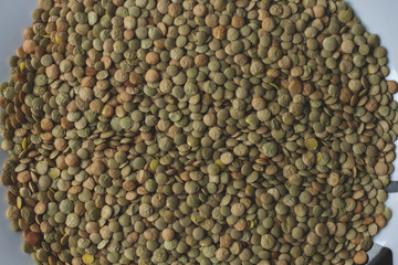 lentil background