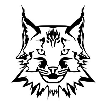 Vector illustration of  lynx face black and white tattoo
