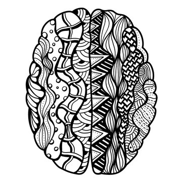 Human Brain doodle